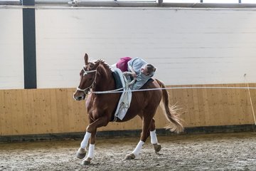 Bild 197 - Voltigierturnier